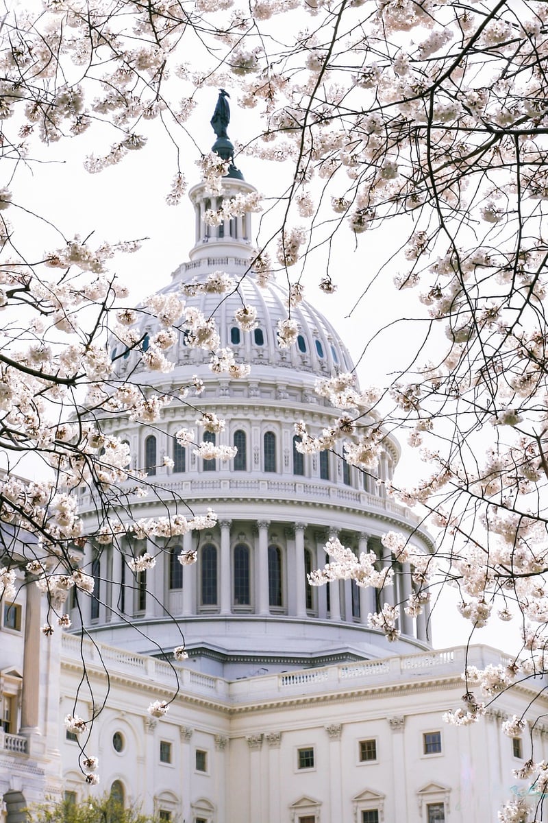 Washington D.C.